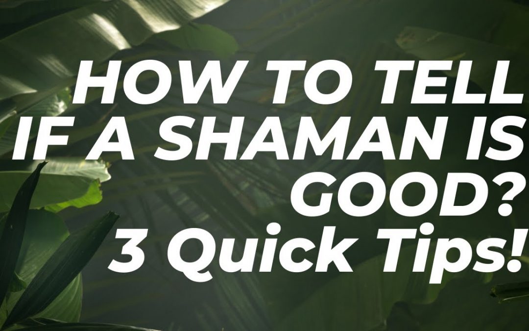 How to tell if a Shaman is good? 3 quick tips!