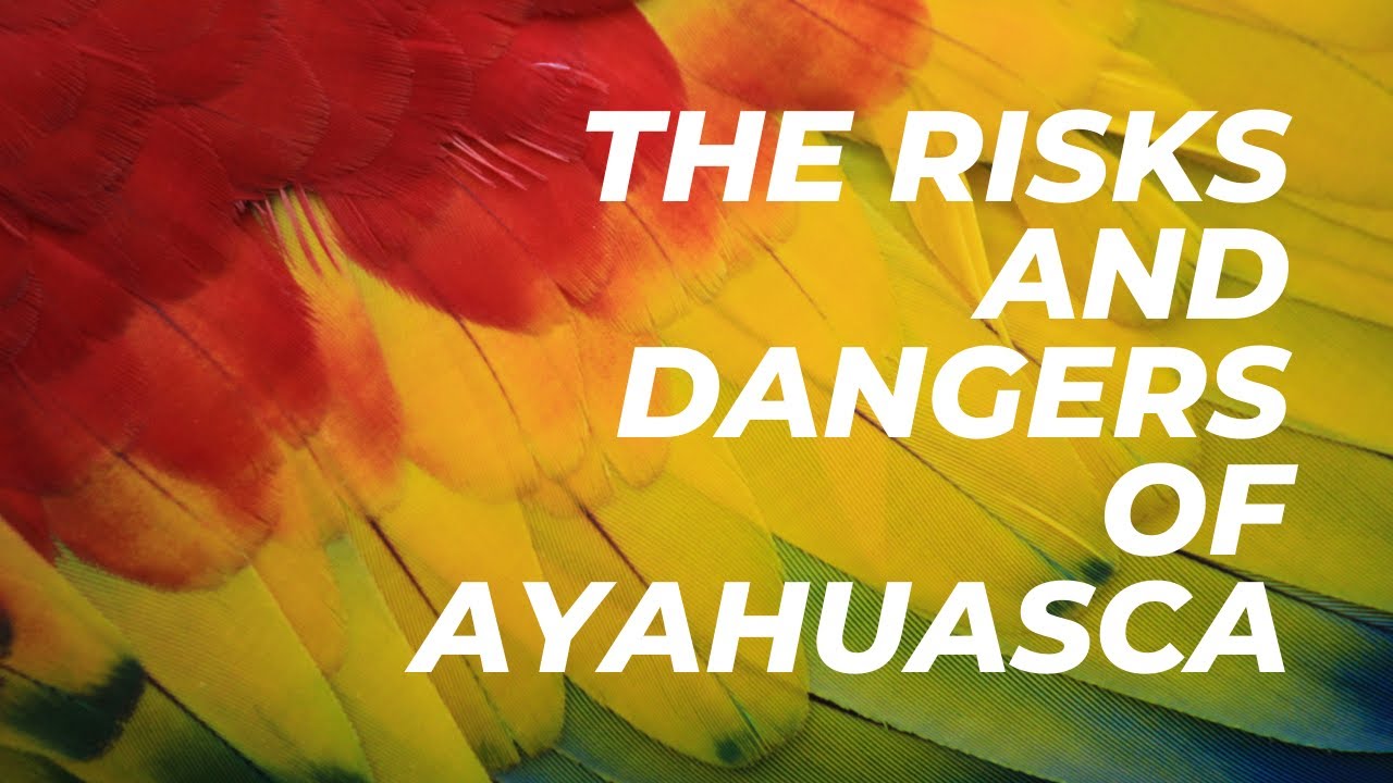 The risks and dangers of Ayahuasca