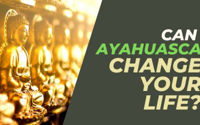 Can Ayahuasca change your life?