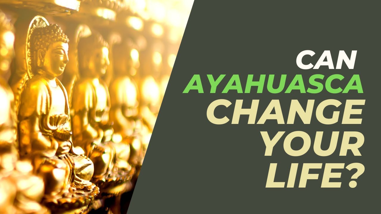 Can Ayahuasca change your life