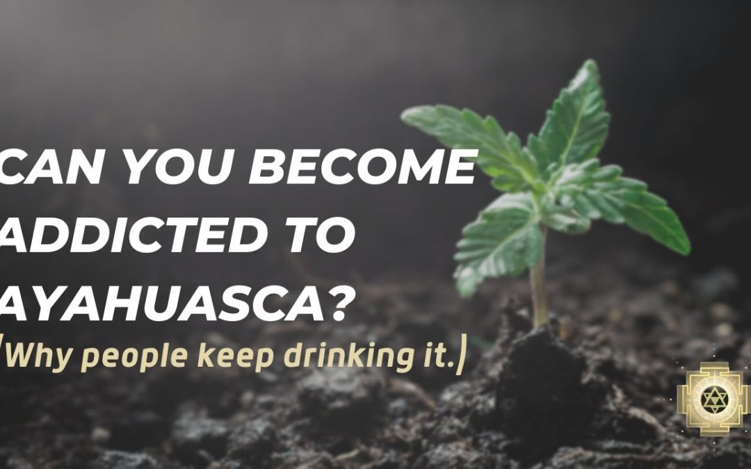 Can you become addicted to Ayahuasca - why people keep drinking it