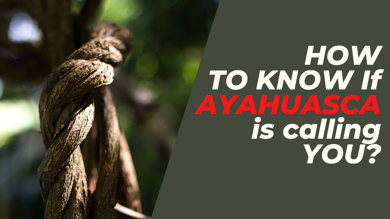 How to know if Ayahuasca is calling you