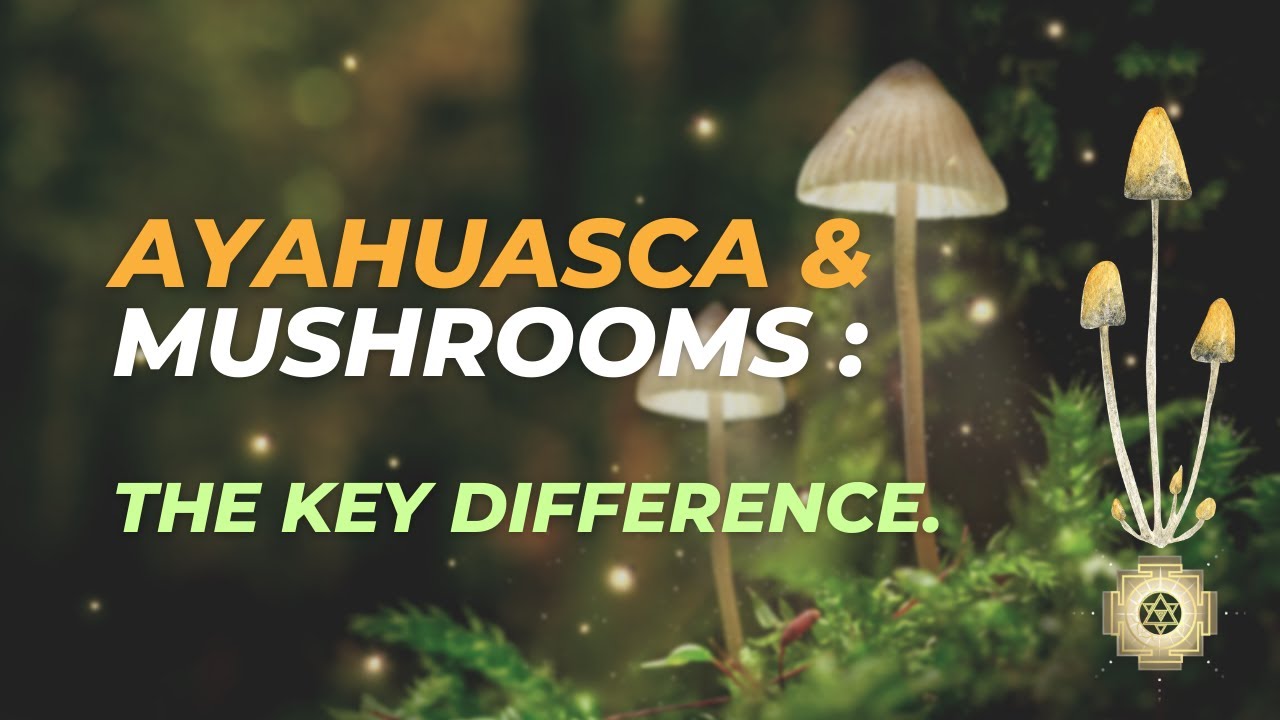 Ayahuasca & mushrooms The key difference