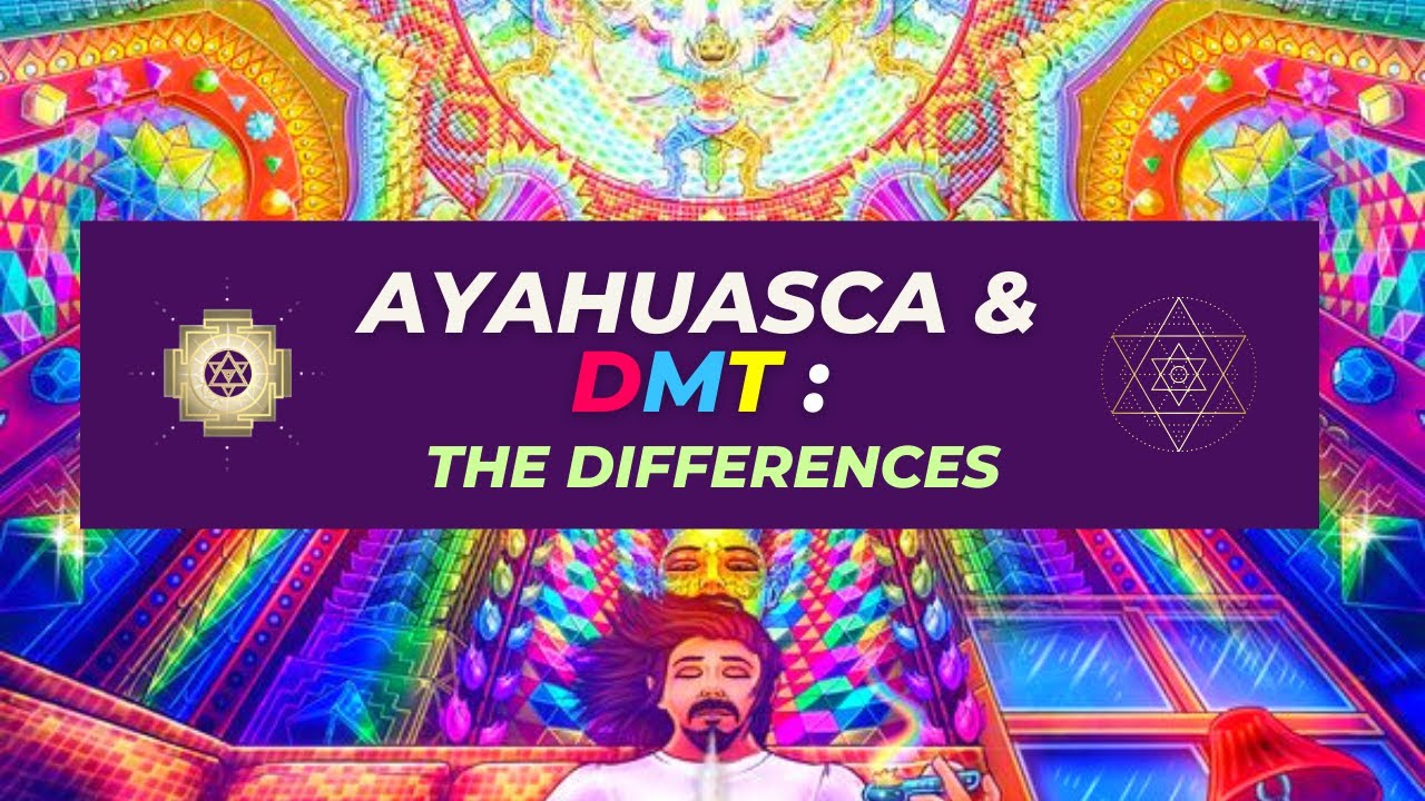 Ayahuasca & DMT the differences